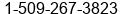 Fax number of Mr. Ernesto Roth at Weston