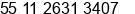 Fax number of Mr. Luis Carlos Silva at SÃ£o Paulo