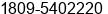 Fax number of Mr. Radhames Mesa at Santo Domingo