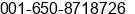 Fax number of Mr. Carpio Lee at San Francisco