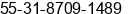 Mobile number of Mr. flavio ricardo silva at belo horizonte