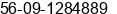 Mobile number of Mr. FERNANDO DEL PINO RODRIGUEZ at SAN ANTONIO, CHILE