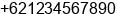 Phone number of Mr. Frank Rank at Denpasar