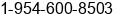 Phone number of Mr. Yaniv Feldman at Aventura