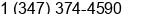 Phone number of Mr. Gennadiy Krips at Brooklyn