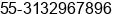 Phone number of Mr. flavio ricardo silva at belo horizonte