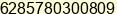 Phone number of Mr. ALI ISKANDAR at Citayam, Bogor