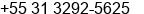 Phone number of Mr. Afonso Figueiredo at belo horizonte