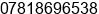 Phone number of Mr. james beevers at bedford