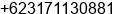 Phone number of Mr. Widodo Prasetyo at surabaya