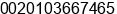 Phone number of Ms. Marwa Saad at Cairo