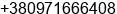 Phone number of Mr. Dmitry Ivashin at Kharkov