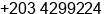 Phone number of Mr. Mohammed El Sayed at Alexandria