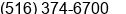 Phone number of Mr. Louis Libin at Woodmere