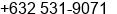 Phone number of Mr. Roniel Resurreccion at Mandaluyong City