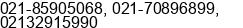 Phone number of Mr. RAJA PARKIR at Jakarta Timur