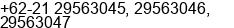 Phone number of Mr. Zulfikri at Jakarta