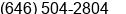 Phone number of Mr. Riveles Law Group at New York